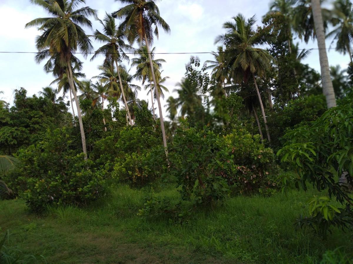 Ulpatha Nature Resort Kurunegala Exterior photo